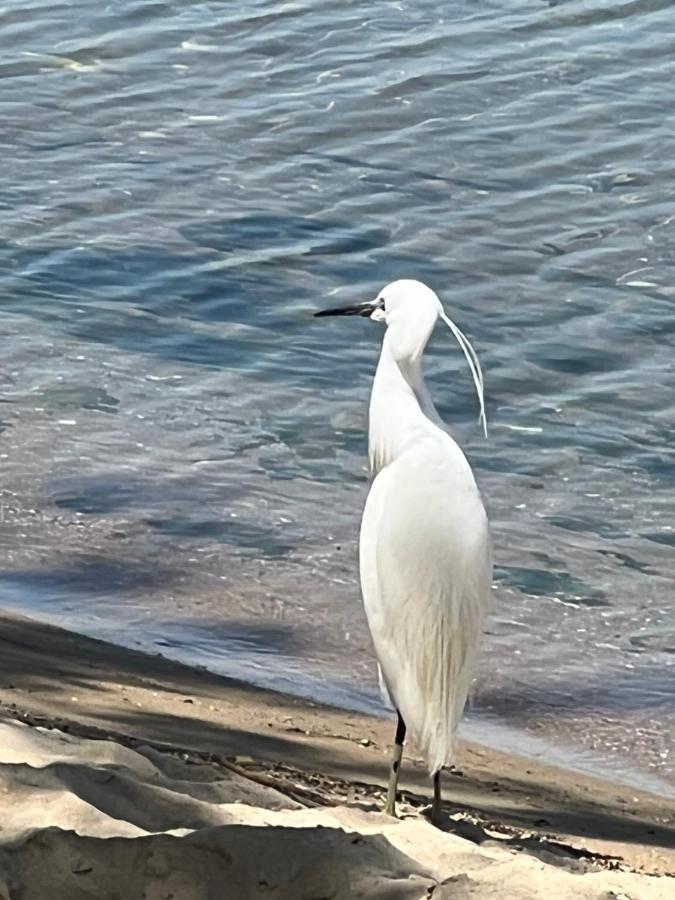 Kallithea Nea Iraklitsa 外观 照片